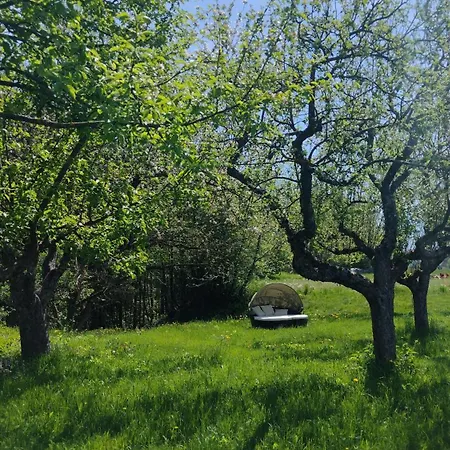 Nepo - Pur * Peratschitzen