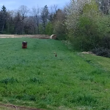 Nepo - Pur Apartment *