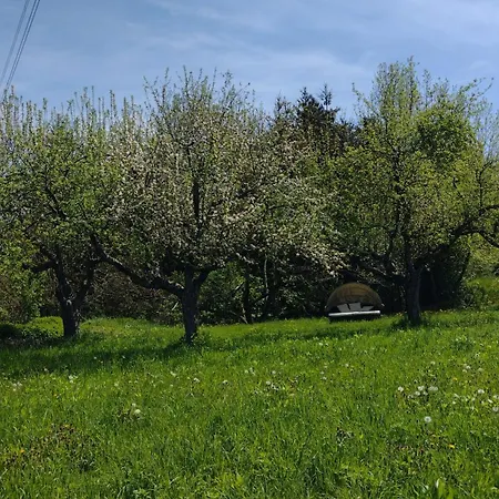 Nepo - Pur Appartement Peratschitzen