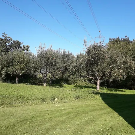 Appartement Nepo - Pur *