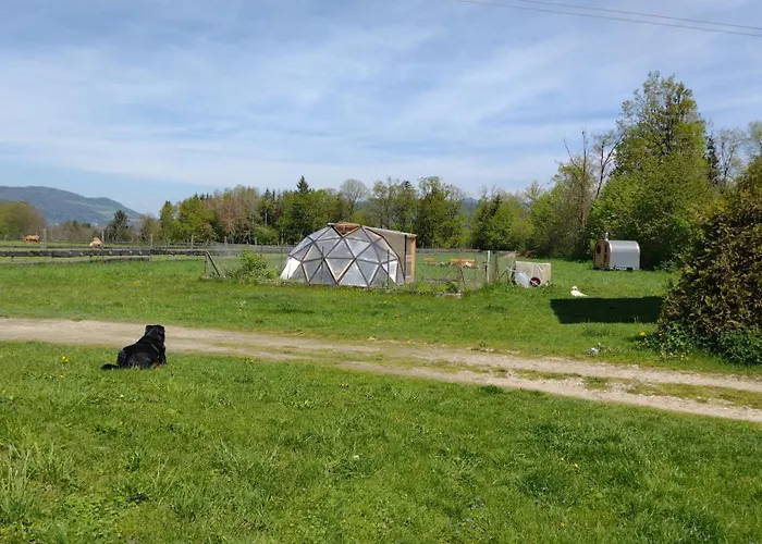 Nepo - Pur Apartament *