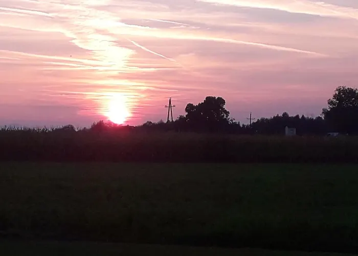 Apartament Nepo - Pur *