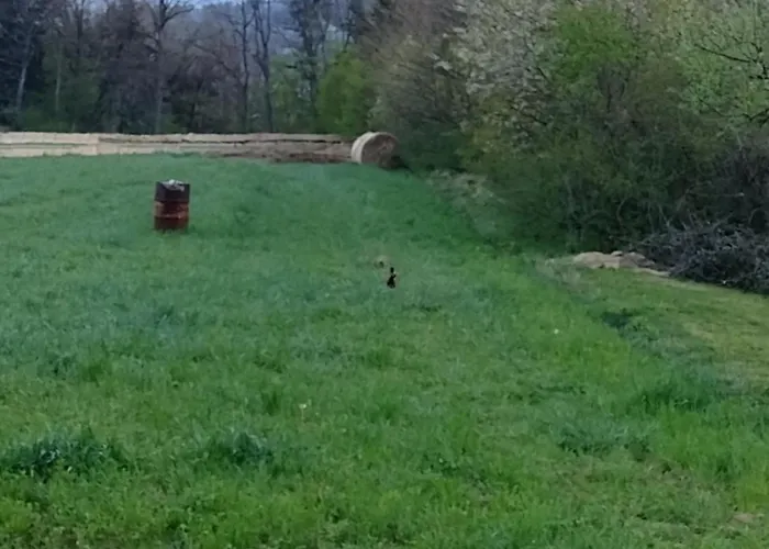 Nepo - Pur דירה *