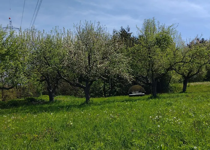 Nepo - Pur Apartament Peratschitzen