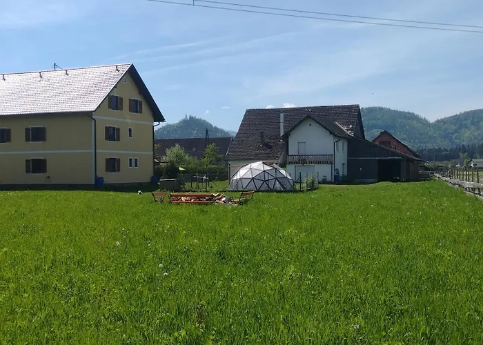 Apartament Nepo - Pur *