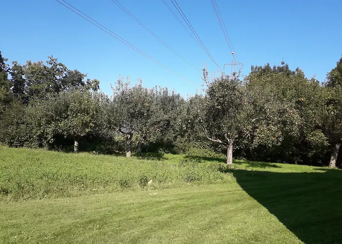 Apartament Nepo - Pur *